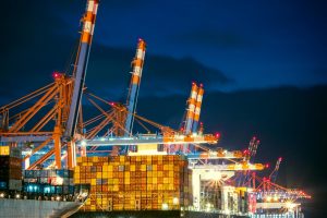 Vibrant night view of container ships at Hamburg port with cranes illuminated.